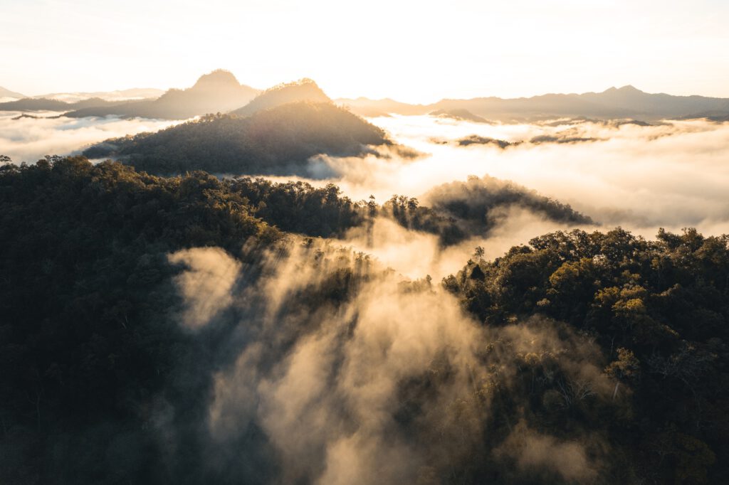 mountains and morning fog in tropical forest